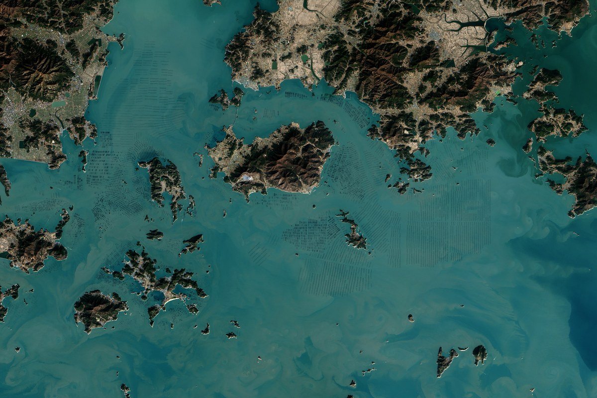sustainable seaweed aquaculture nori supply chain.jpg